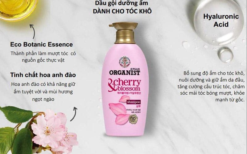 Top 10 loại dầu gội giữ màu tóc nhuộm hiệu quả nhất