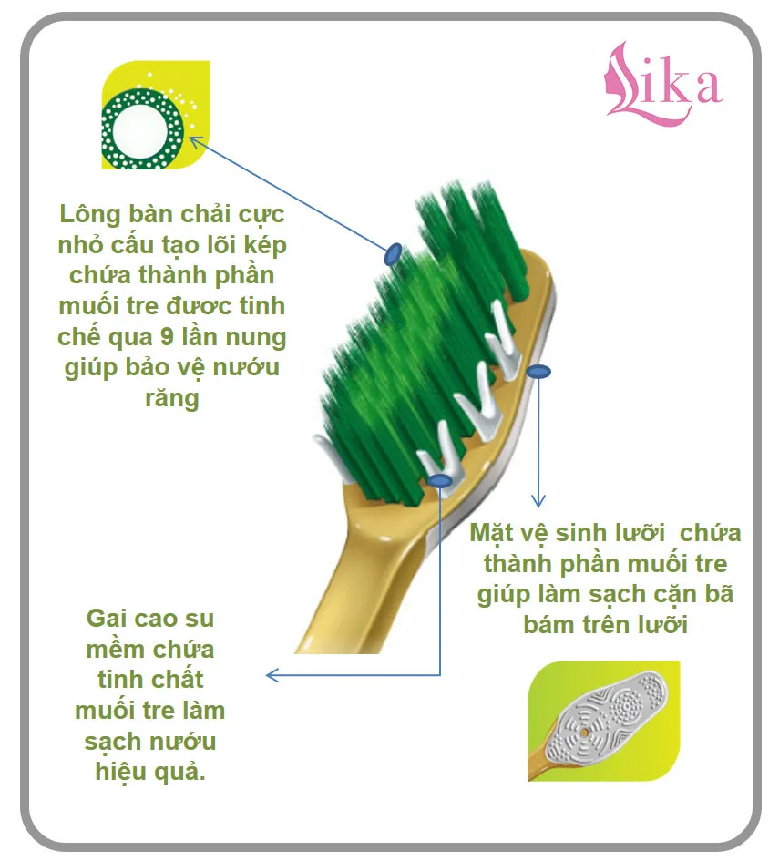 Bộ Bàn Chải Răng Bamboo Salt Shirinnee Cho răng ê buốt - mua 2 tặng 1 3 Cấu tạo của đầu bàn chải răng muối tre Hàn Quốc