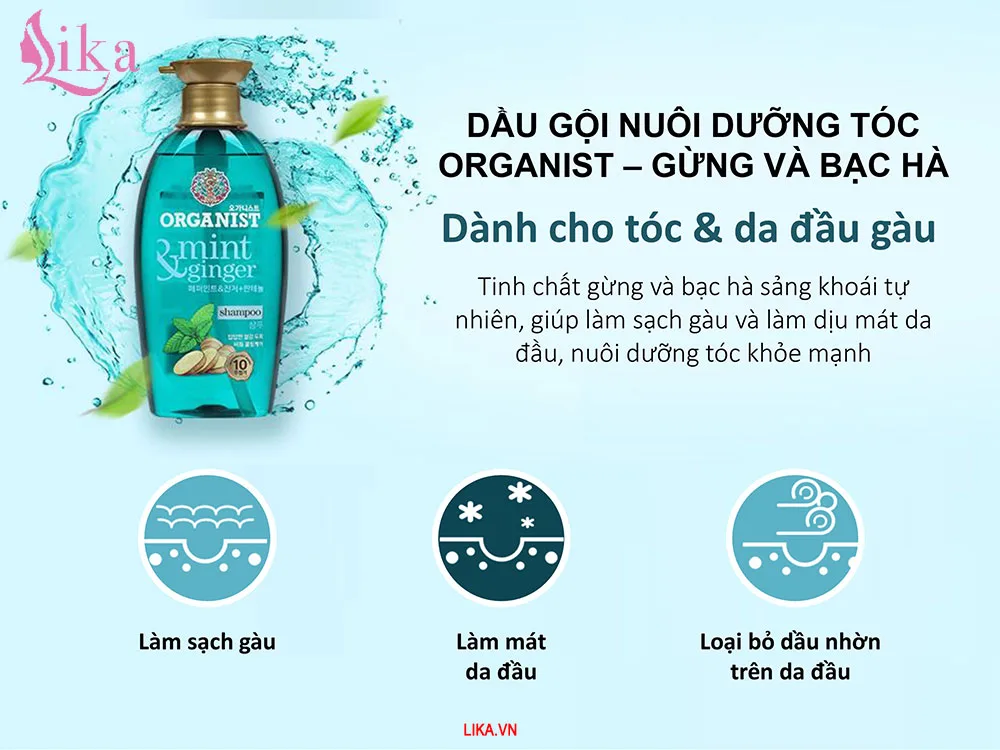 Công dụng dầu gội Organic trị gàu Hàn Quốc