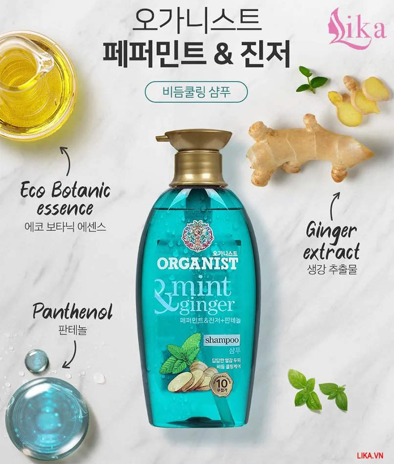 Dầu gội Organic Trị Gàu Gừng và Bạc Hà