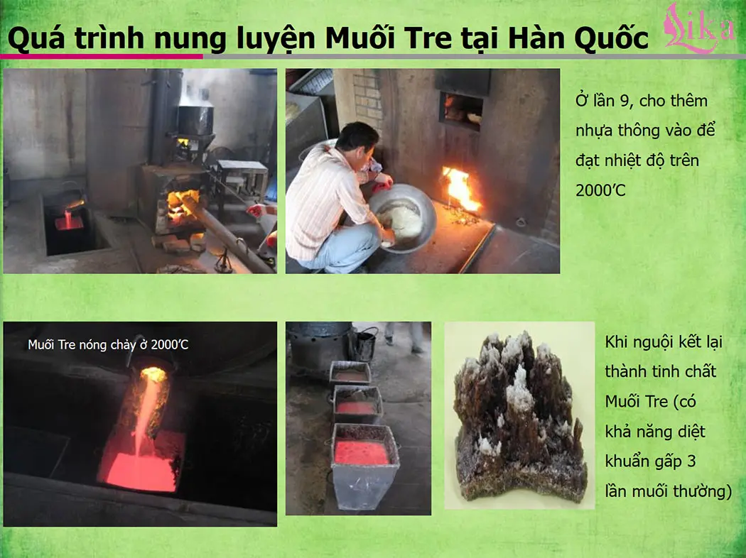 Quá trình nung luyện muối tre Bamboo Salt Hàn Quốc 5