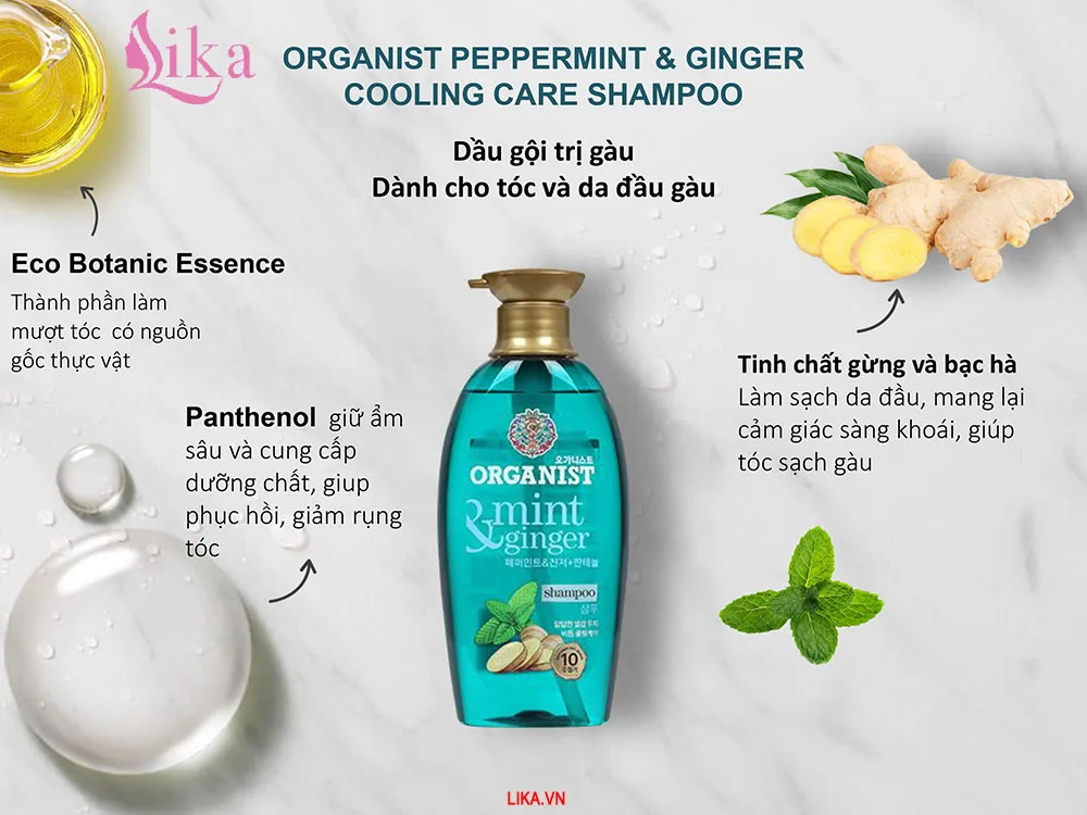 Thành phần dầu gội Organic Tinh dầu Gừng và Bạc Hà
