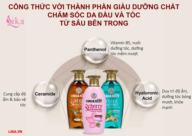 Thành phần dầu gội Organist Review