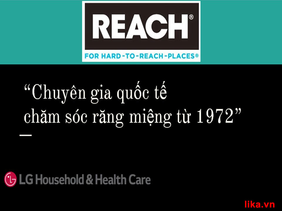 Thương hiệu REACH có từ năm 1972