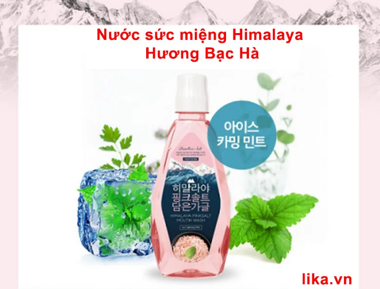 Nước súc miệng Bamboo Salt Ice Calming Mint 760ml 12 Nước Súc Miệng Himalaya Hương Bạch Hà