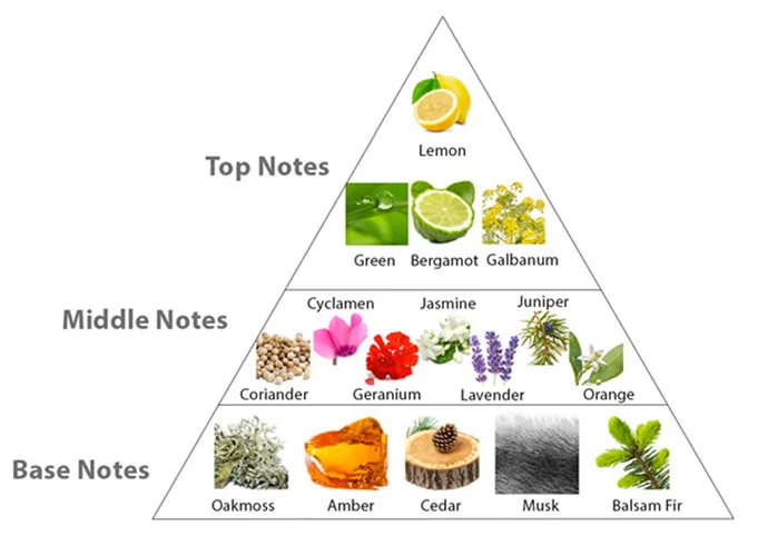 Tầng hương sữa tắm on the body